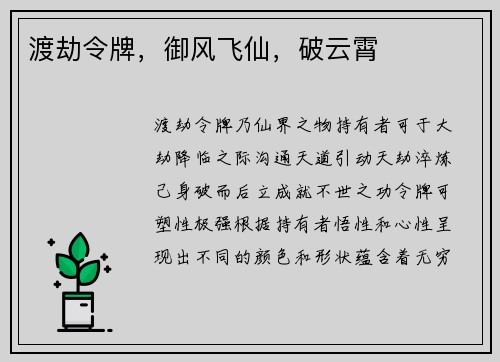 渡劫令牌，御风飞仙，破云霄